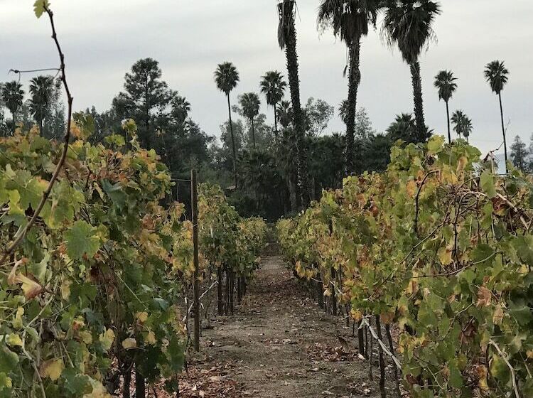 호텔 Boutique Rancho Tecate