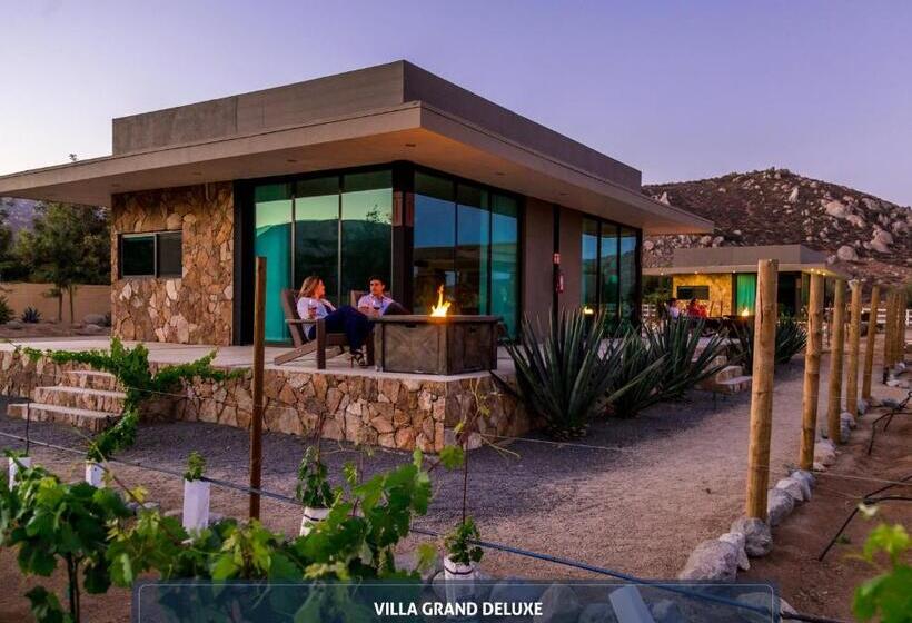 호텔 Boutique Valle De Guadalupe & Spa