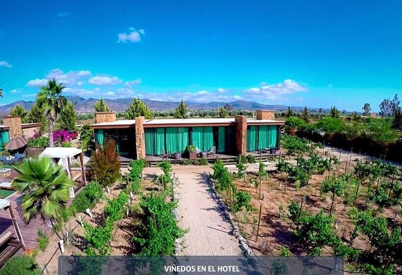 호텔 Boutique Valle De Guadalupe & Spa