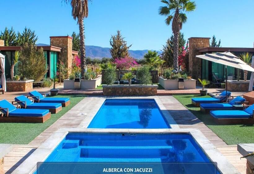 호텔 Boutique Valle De Guadalupe & Spa