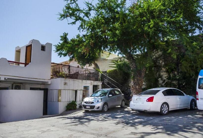 Capital O Hotel Dos Mares, Cabo San Lucas