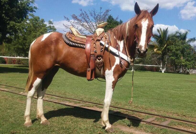 فندق Hacienda Viva Sotuta De Peón