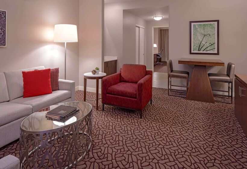Отель Hilton Garden Inn Downtown Dallas