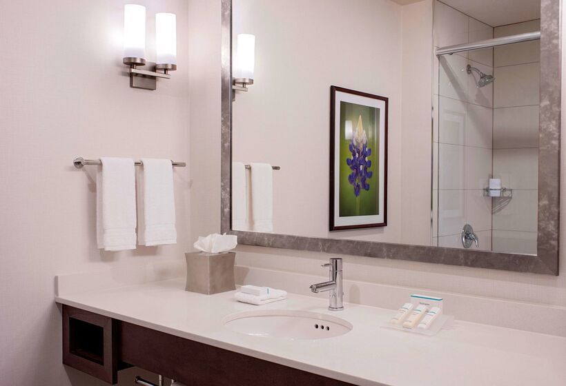 Отель Hilton Garden Inn Downtown Dallas