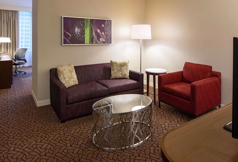 Отель Hilton Garden Inn Downtown Dallas