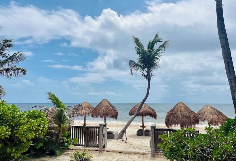 בית מלון כפרי La Conchita Tulum