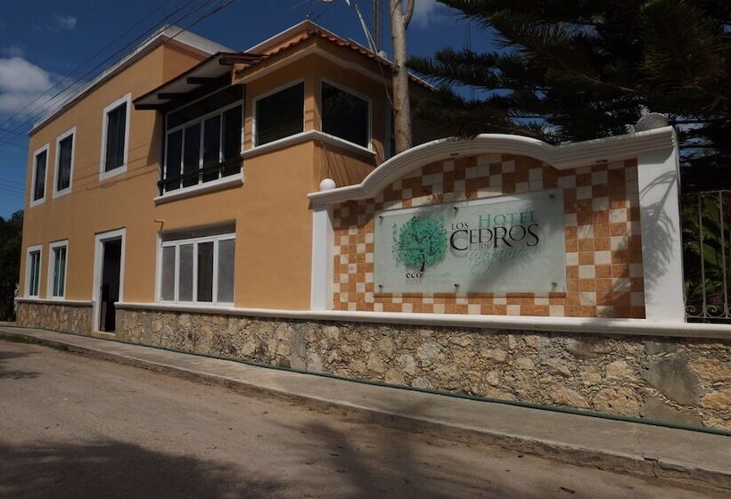 ホテル Los Cedros Uayamon
