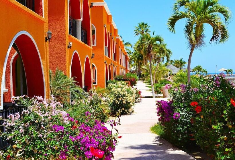 酒店 Palmas De Cortez