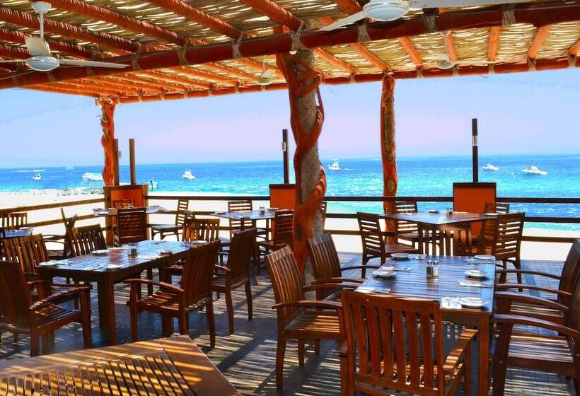 酒店 Palmas De Cortez