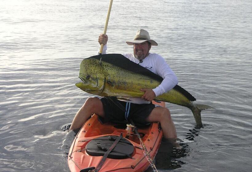 酒店 Palmas De Cortez