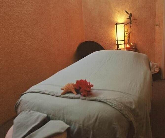 酒店 Palmas De Cortez