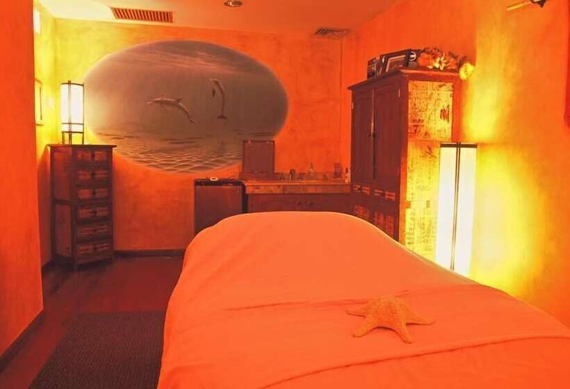 酒店 Palmas De Cortez