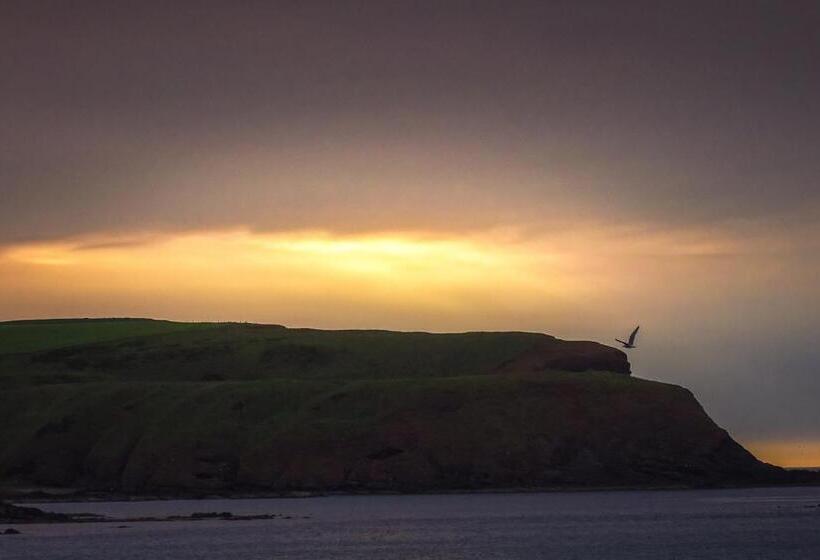 Отель Pennan Inn Bnb &gallery