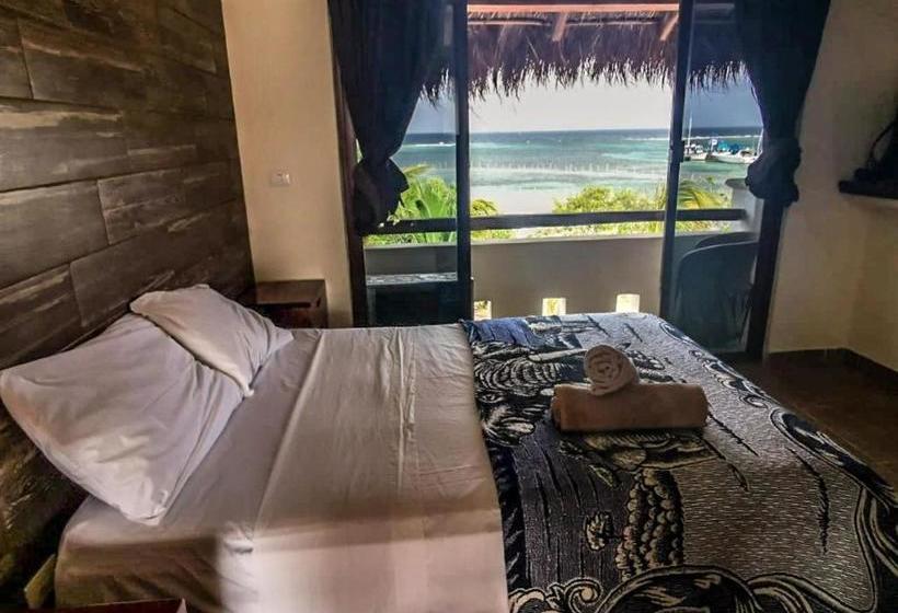 ホテル Porto Coral