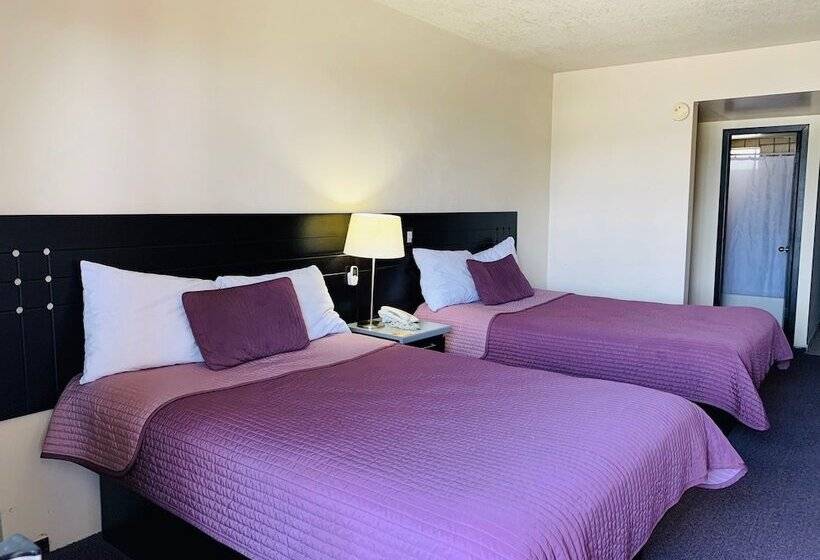 ホテル Posada Don Fernando