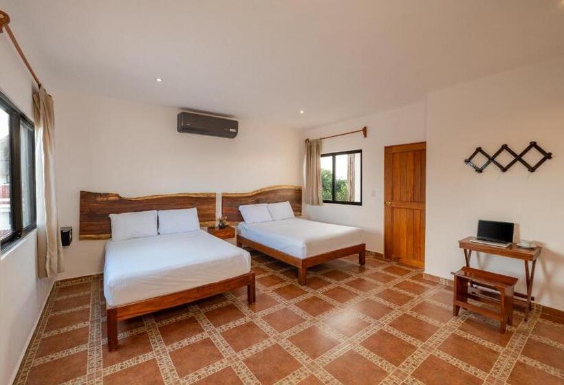 فندق Posada El Perico Marinero