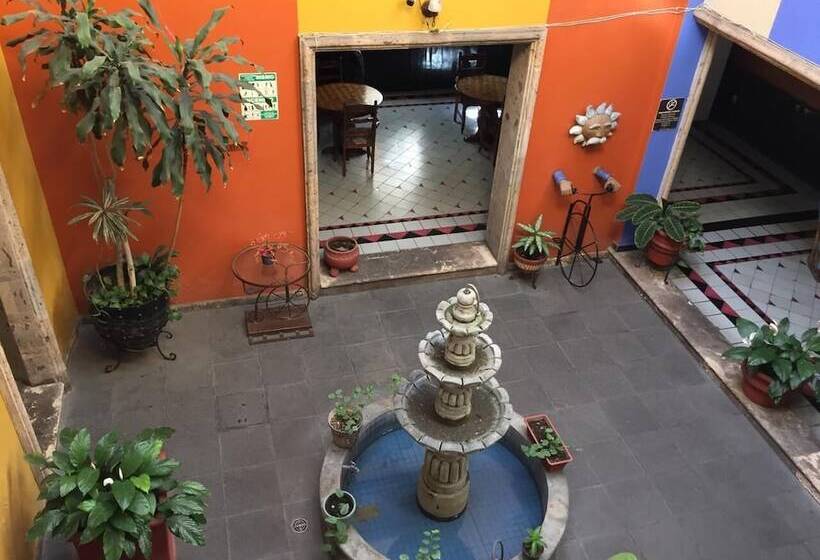 Отель Posada Hidalgo Inn