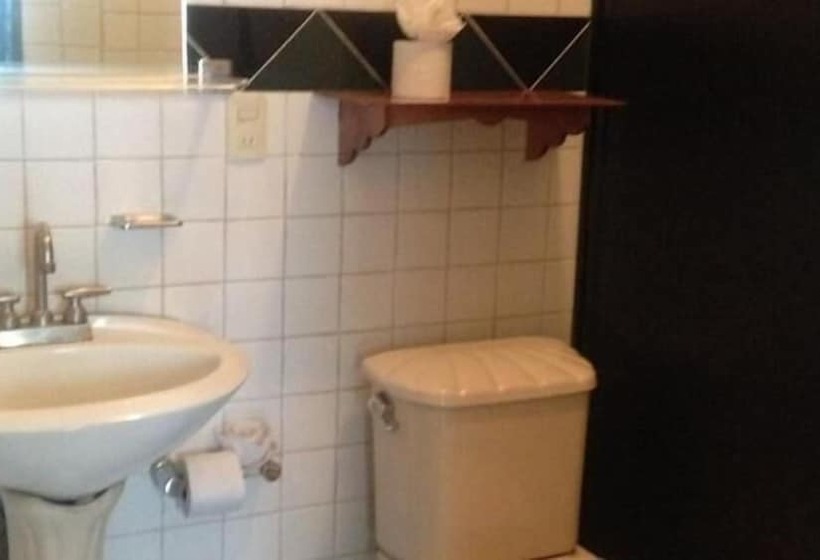 Отель Posada Hidalgo Inn