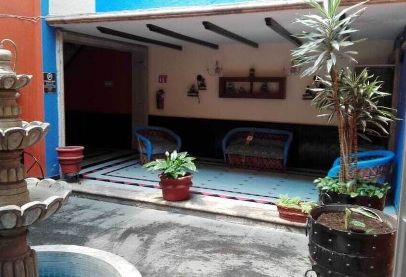 Отель Posada Hidalgo Inn