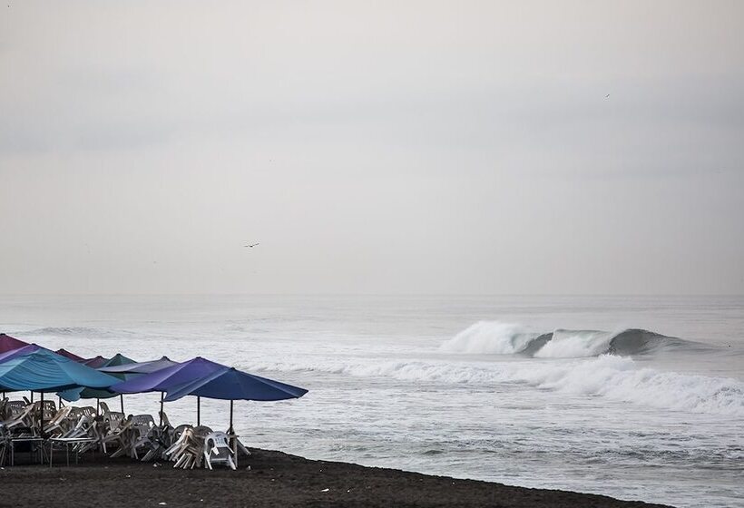 ホテル Present Moment Retreat