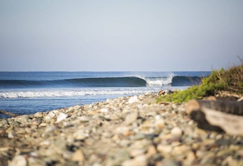 호텔 Present Moment Retreat