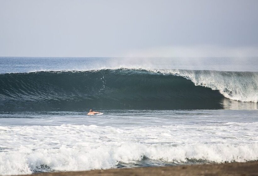 ホテル Present Moment Retreat