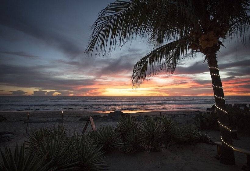 호텔 Present Moment Retreat