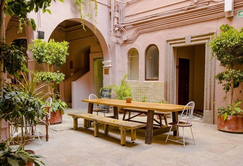 酒店 Selina San Miguel De Allende