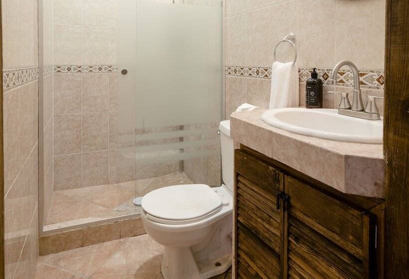 酒店 Selina San Miguel De Allende