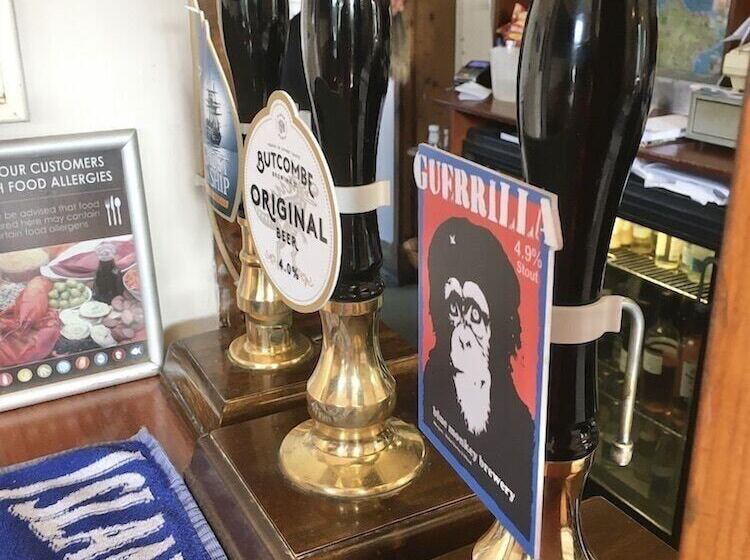 فندق The Highdown Inn