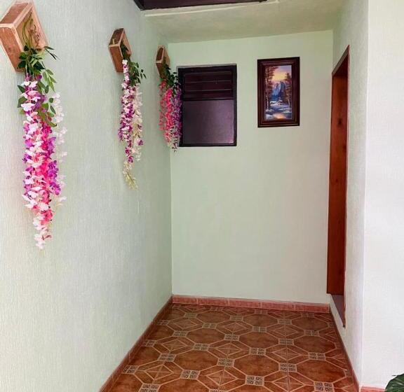 فندق Tres Flores