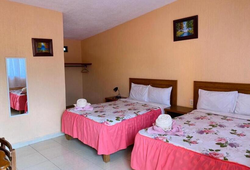 فندق Tres Flores