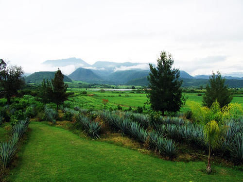 فندق Villa Cantabria