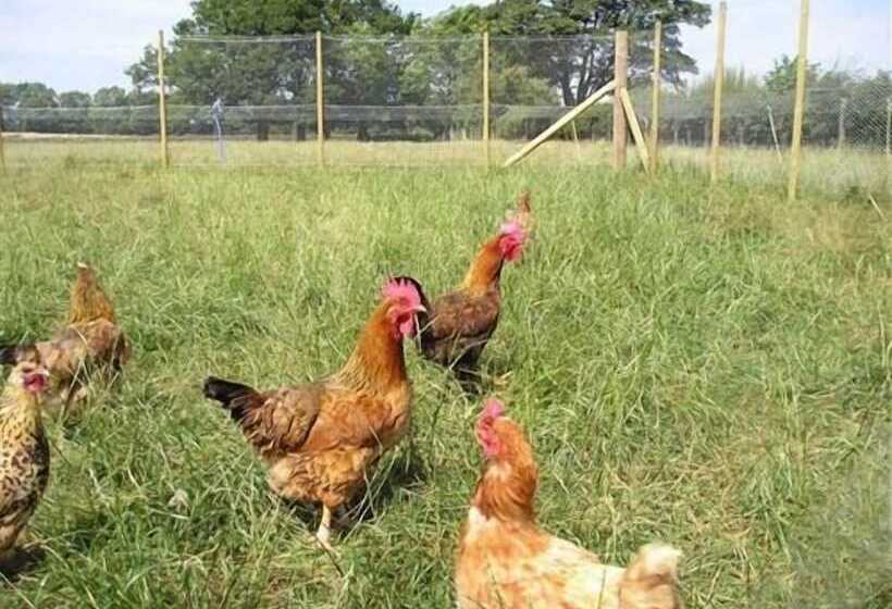 בית מלון כפרי Whashton Springs Farmhouse B&b