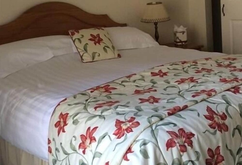 בית מלון כפרי Whashton Springs Farmhouse B&b