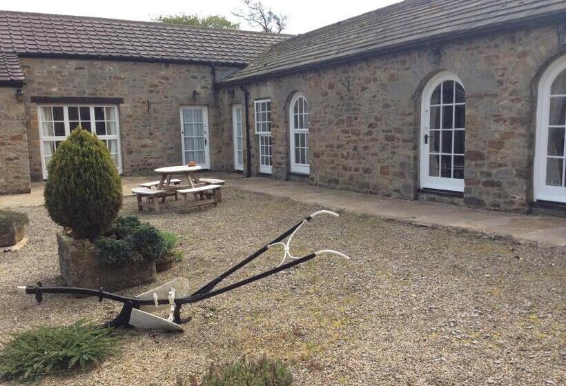 בית מלון כפרי Whashton Springs Farmhouse B&b