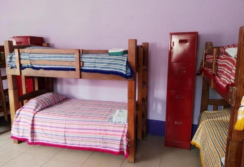 Общежитие Olga Querida B&b Hostal