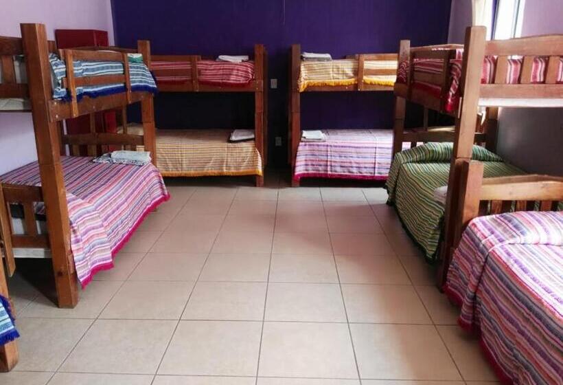 Общежитие Olga Querida B&b Hostal