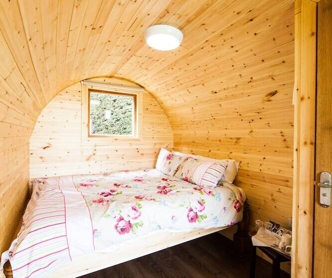 بنسيون Old Hall House, Nec