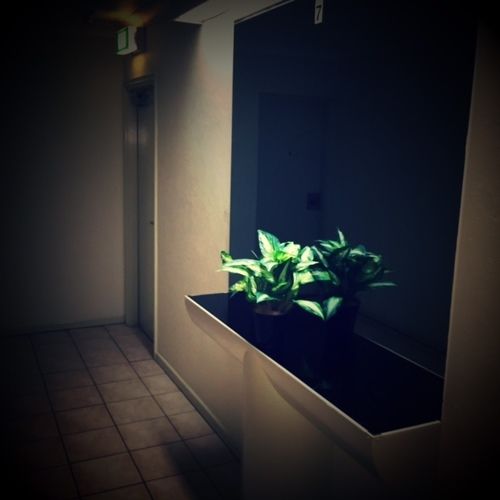 Promenade Apartments Gold Coast