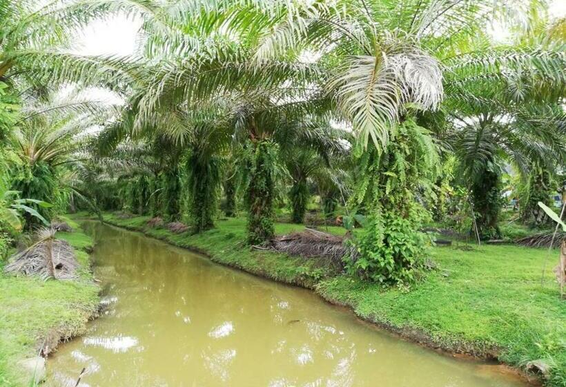 Herberge หมอกยามเช้า กะปง รีสอร์ท