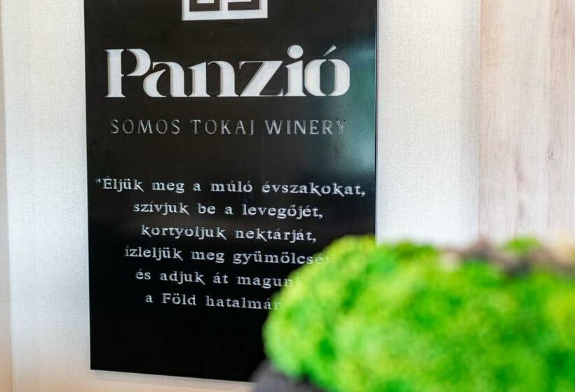 צימר Somos Panzió