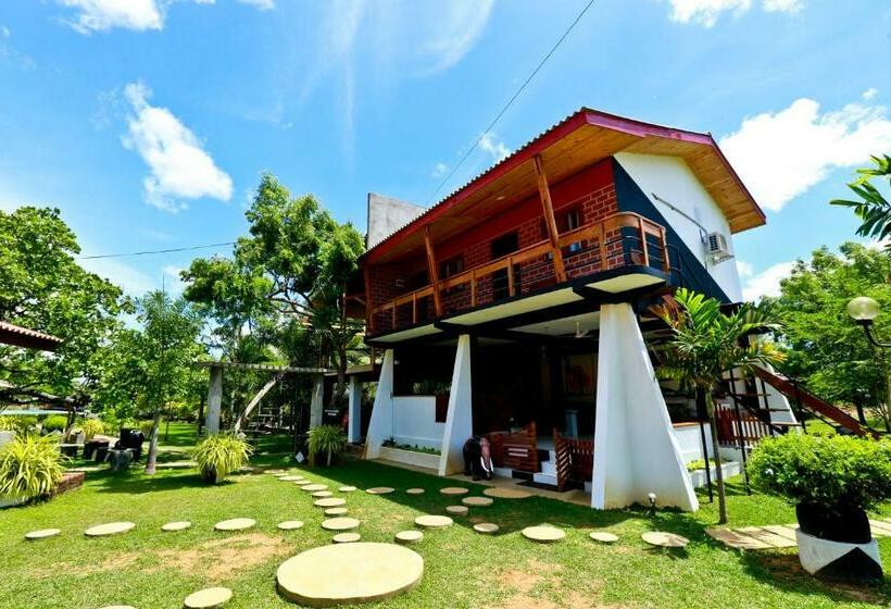 Eco Hotel Black & White   Anuradhapura