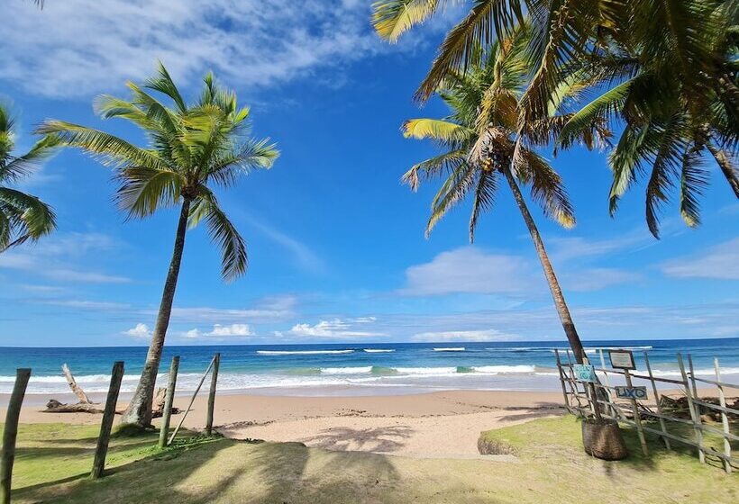 בית מלון כפרי Laus Bangalôs Experience   Piscina Privativa   Praia De Algodões   Península De Maraú   Bahia