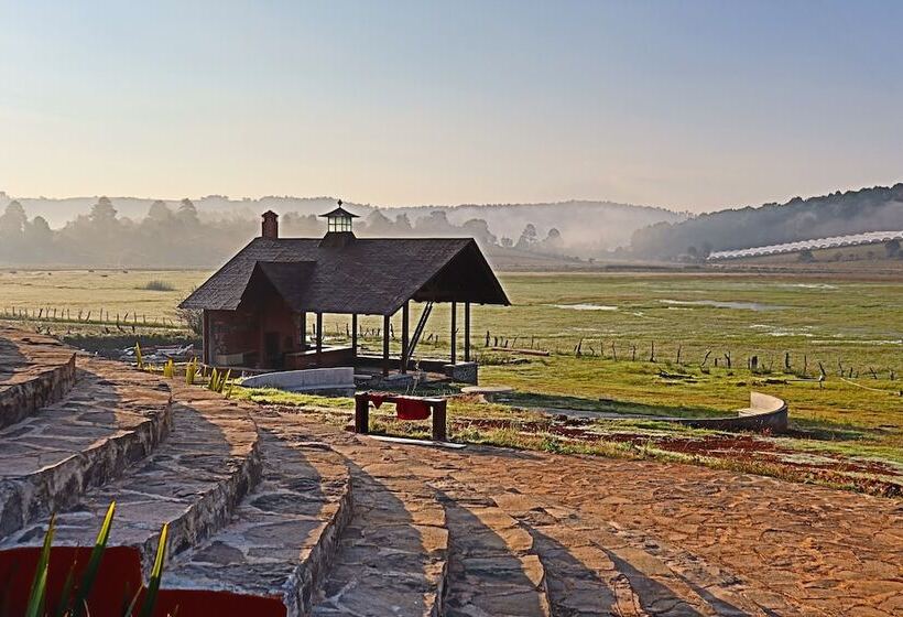 酒店 Masia Arameni