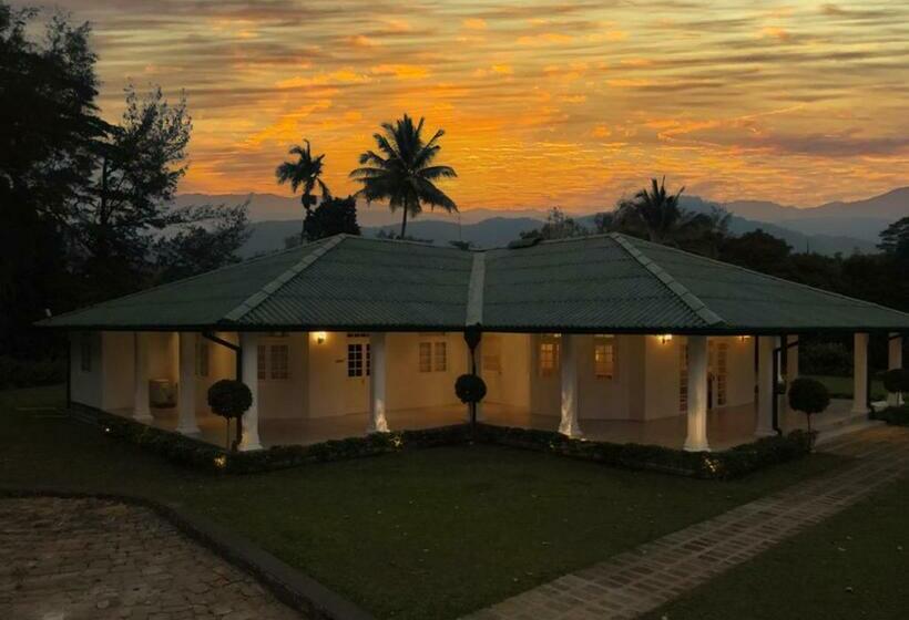 בית מלון כפרי The Estate 1920