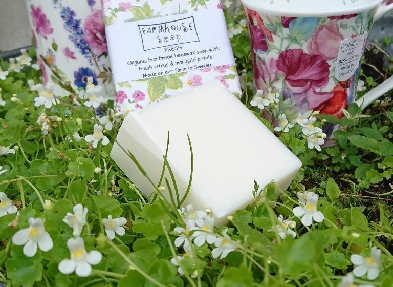 בית מלון כפרי övraby Stuga