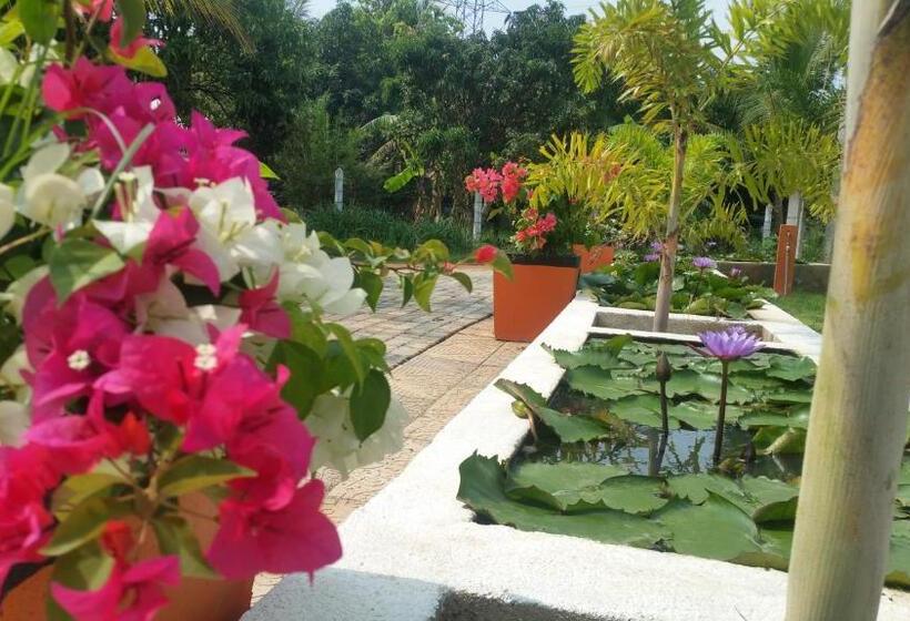 Miheen Hotel & Resort   Anuradhapura