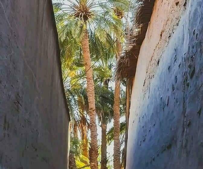 بنسيون Dar Lhor