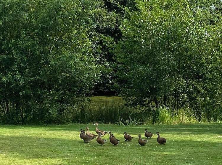 ペンション Le Manoir De La Campagne